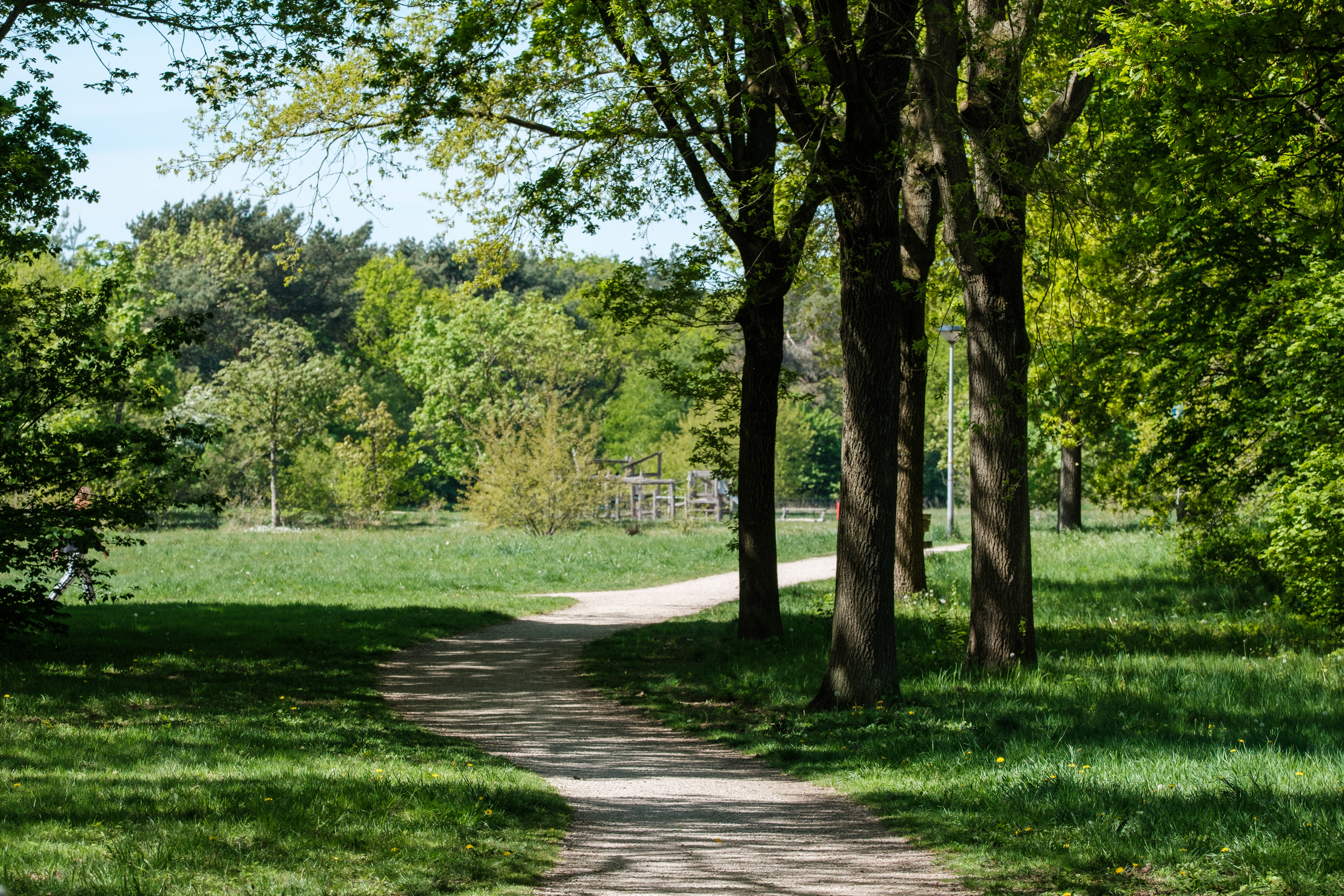 A winding path through a green park with tall trees in Huizen, Netherlands.
