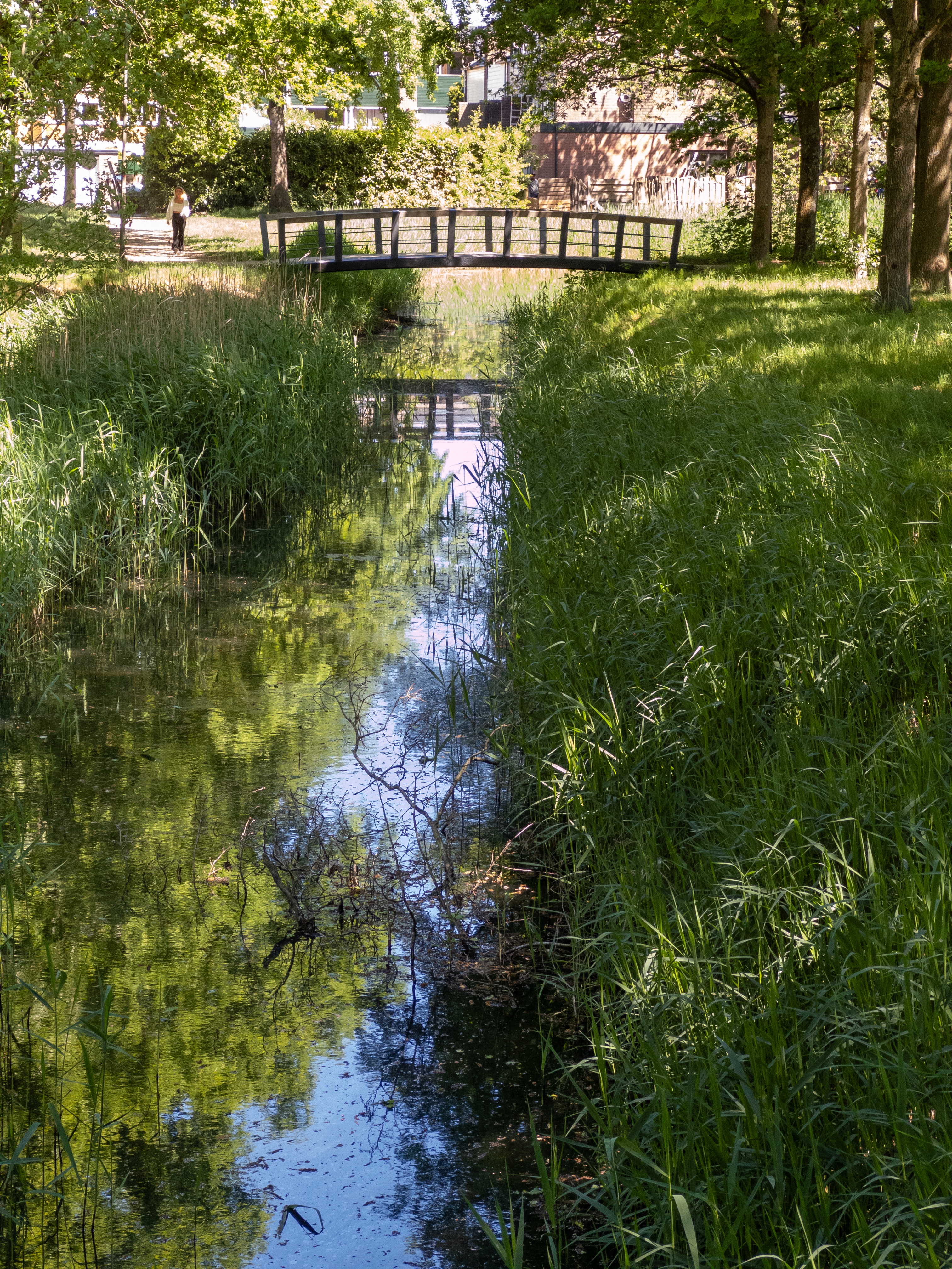A small bridge over a narrow canal surrounded by greenery in Huizen, Netherlands.
