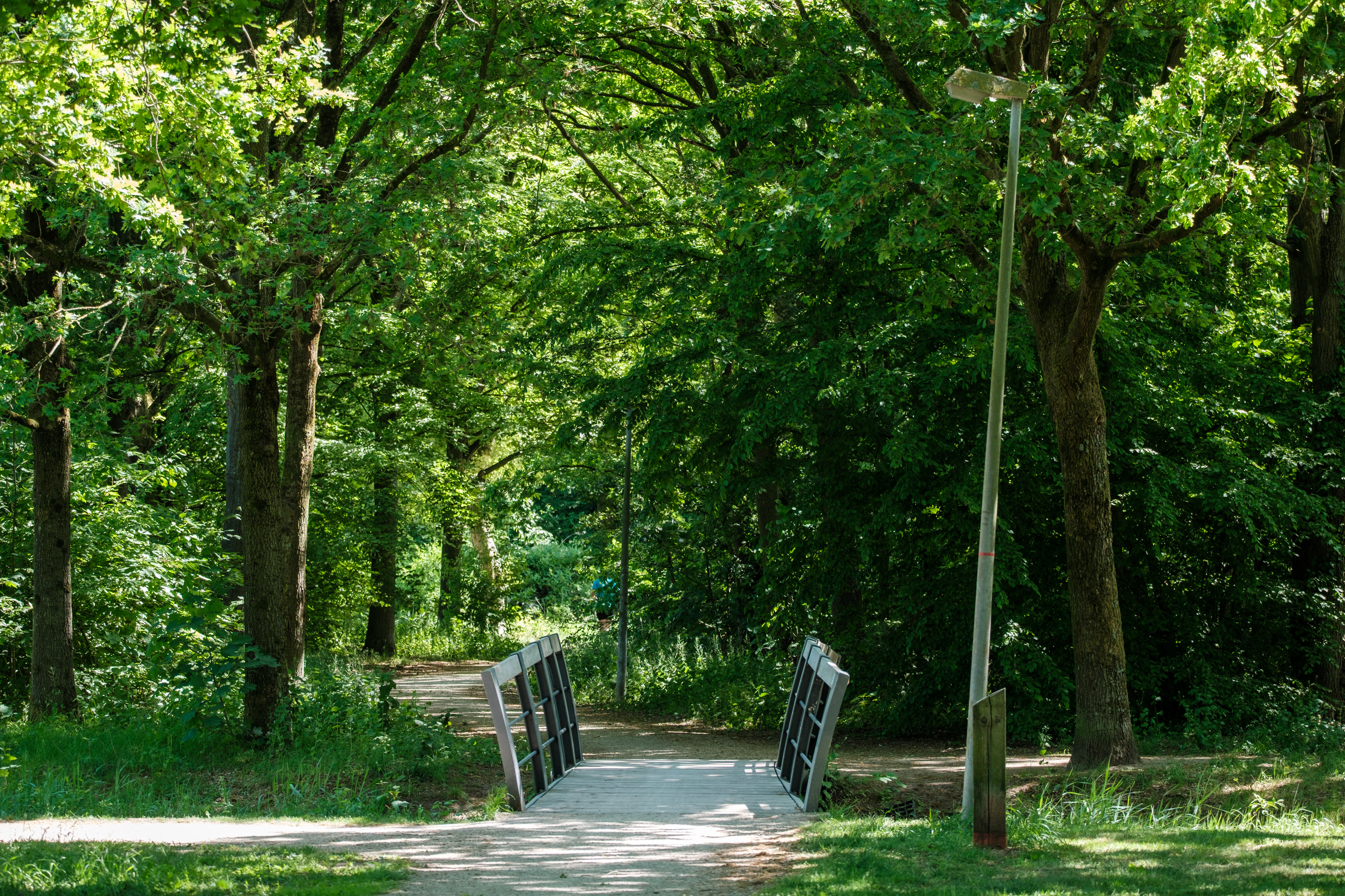 A wooden bridge and path surrounded by trees in Huizen, Netherlands.