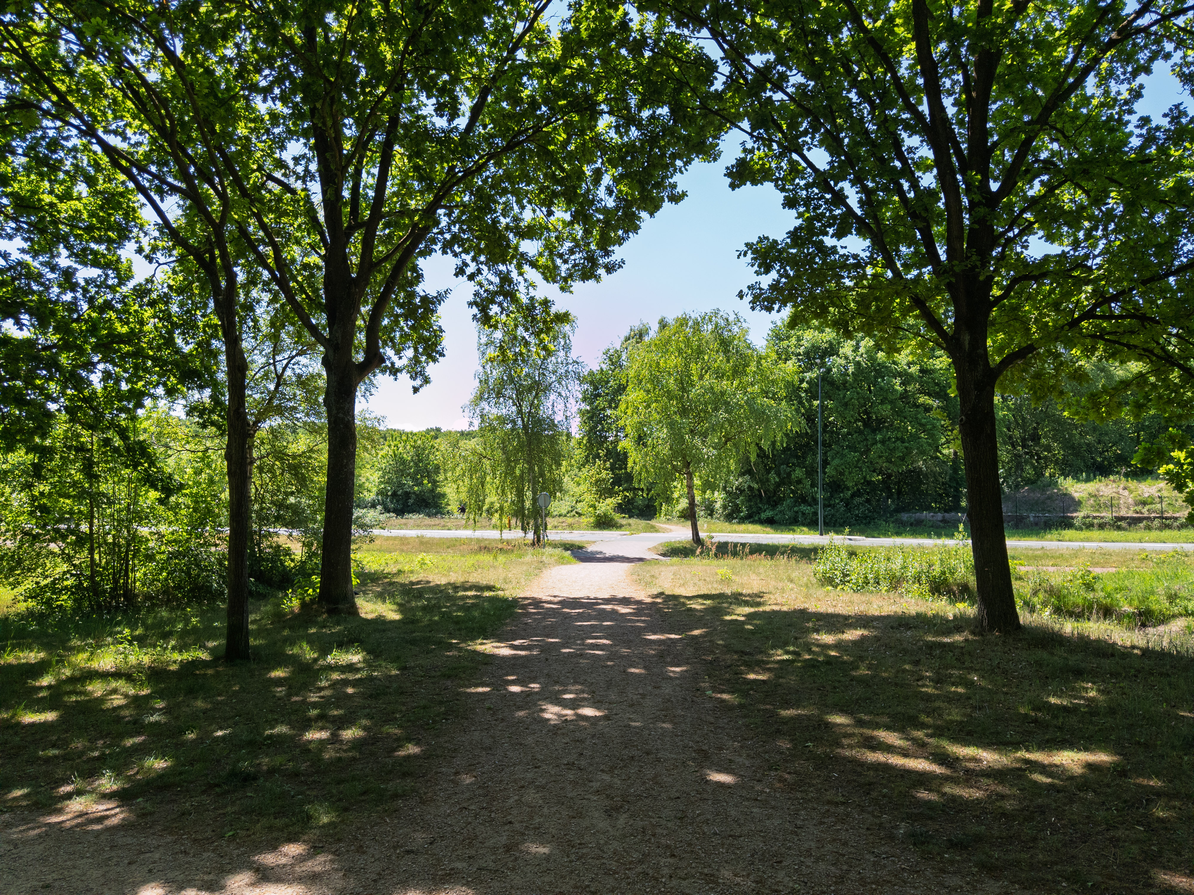 A sunlit path surrounded by trees in Huizen, Netherlands.