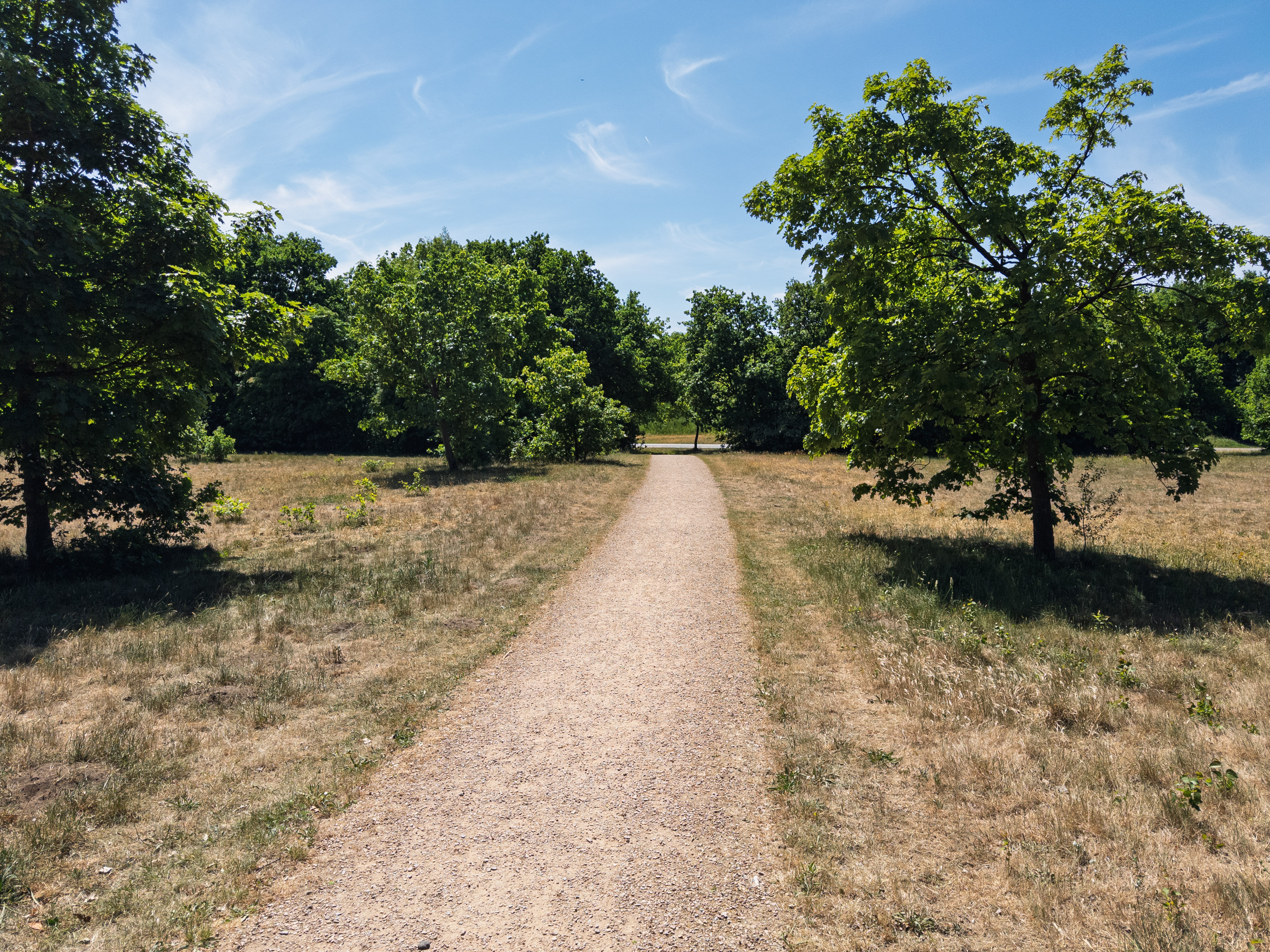 A gravel path lined with trees in a sunny park setting.