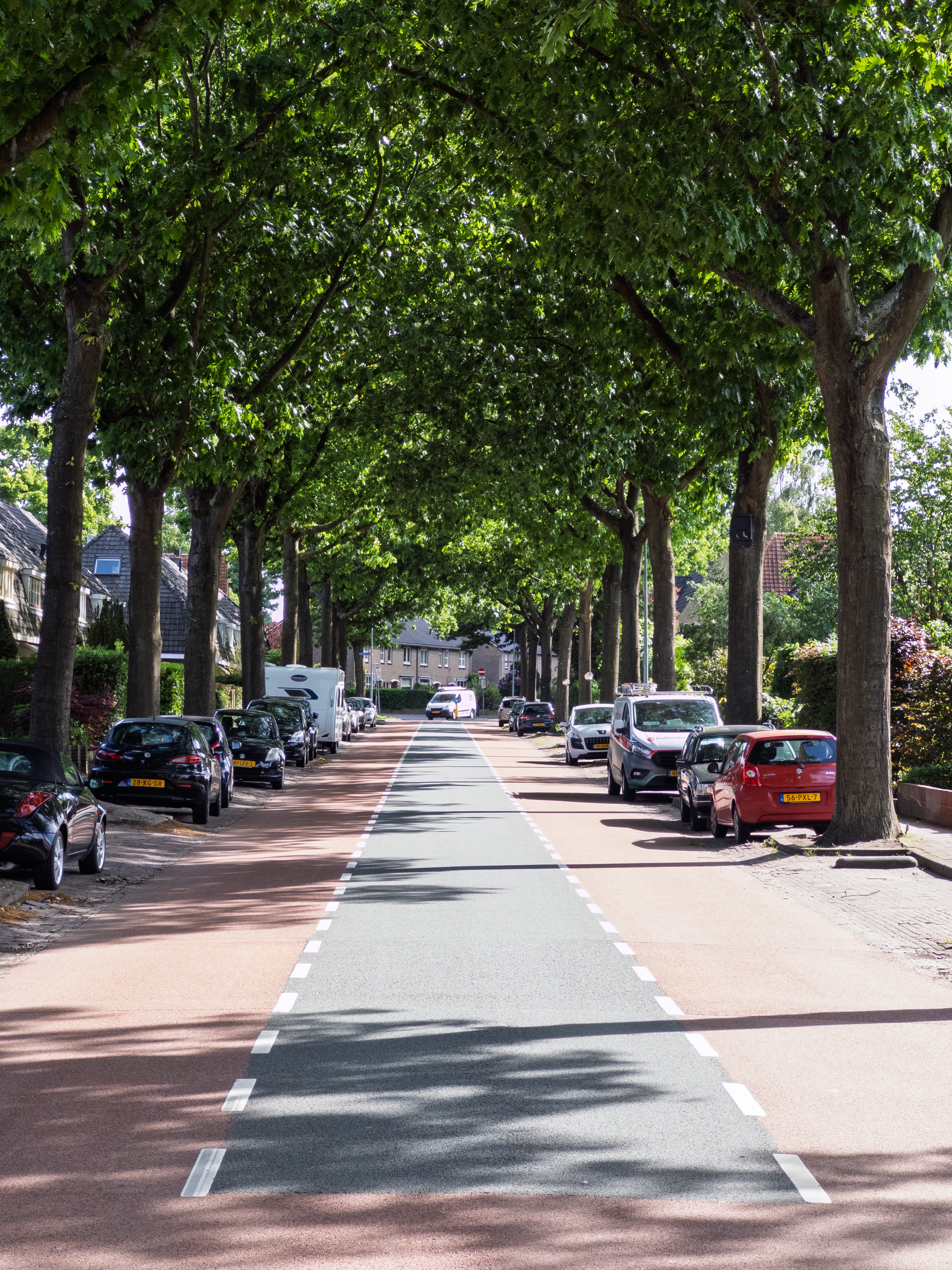 A tree-lined street with parked cars in Huizen, Netherlands.