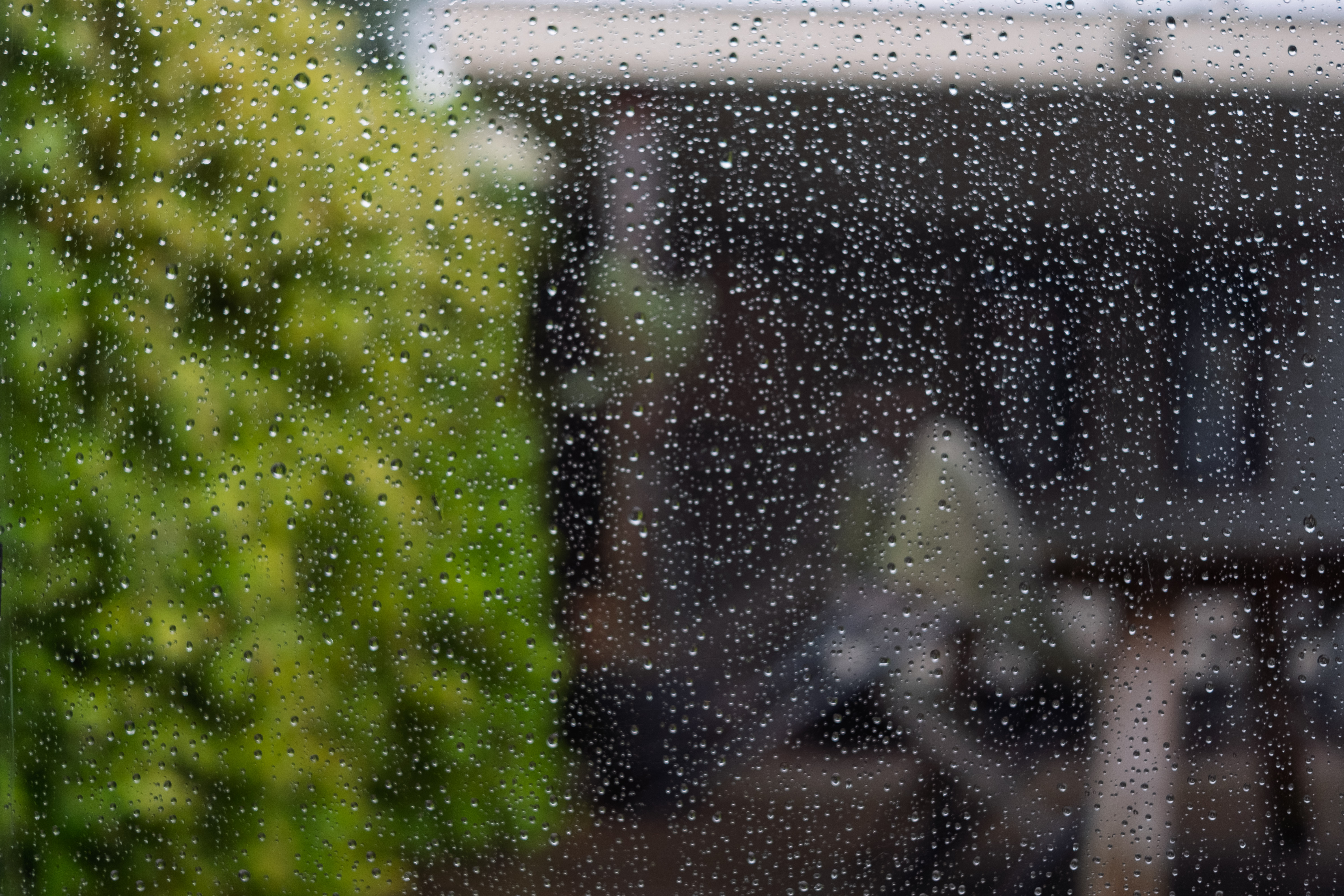 Raindrops on a window with blurred greenery and buildings in the background.