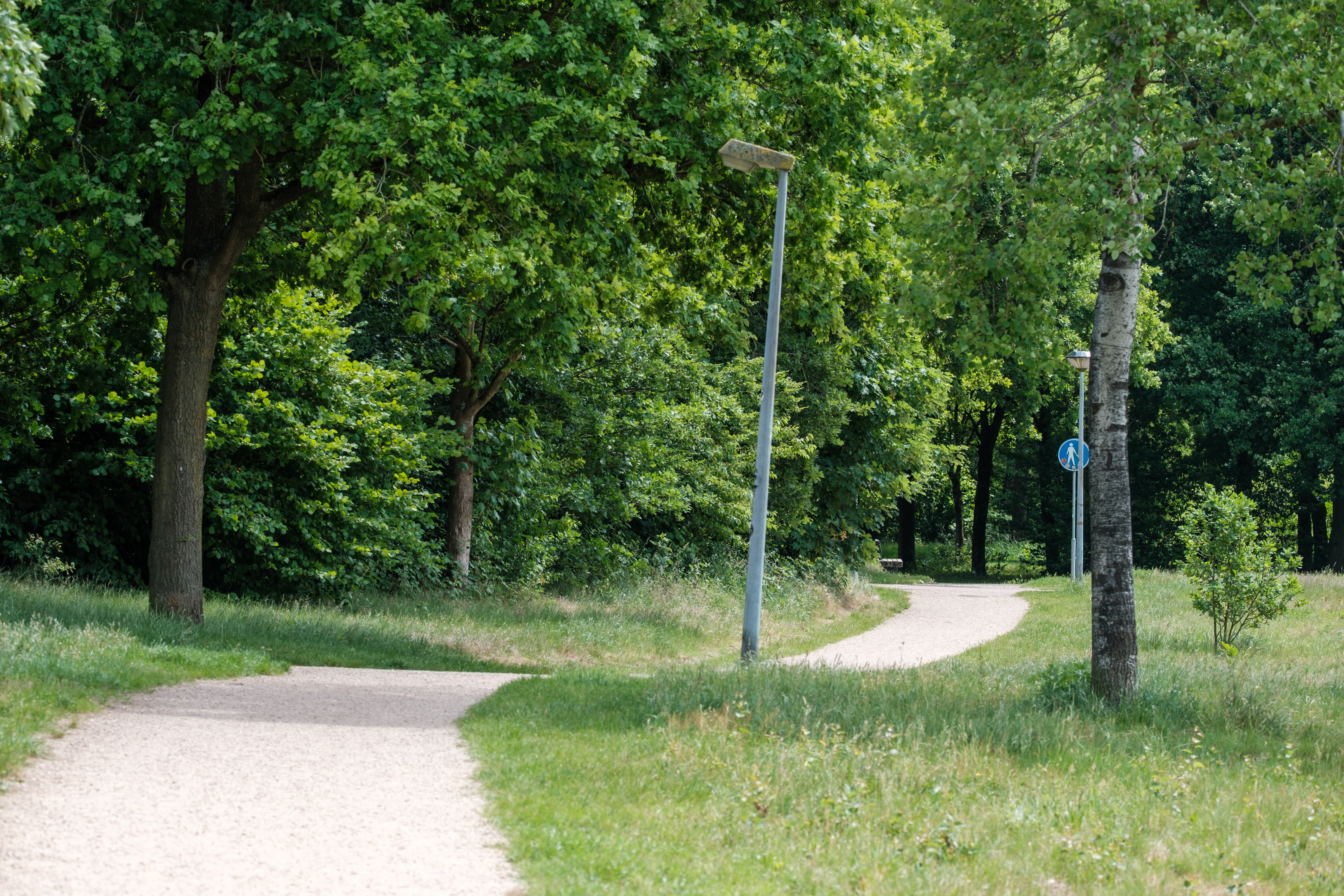 A winding path through lush greenery and trees in Huizen, Netherlands.
