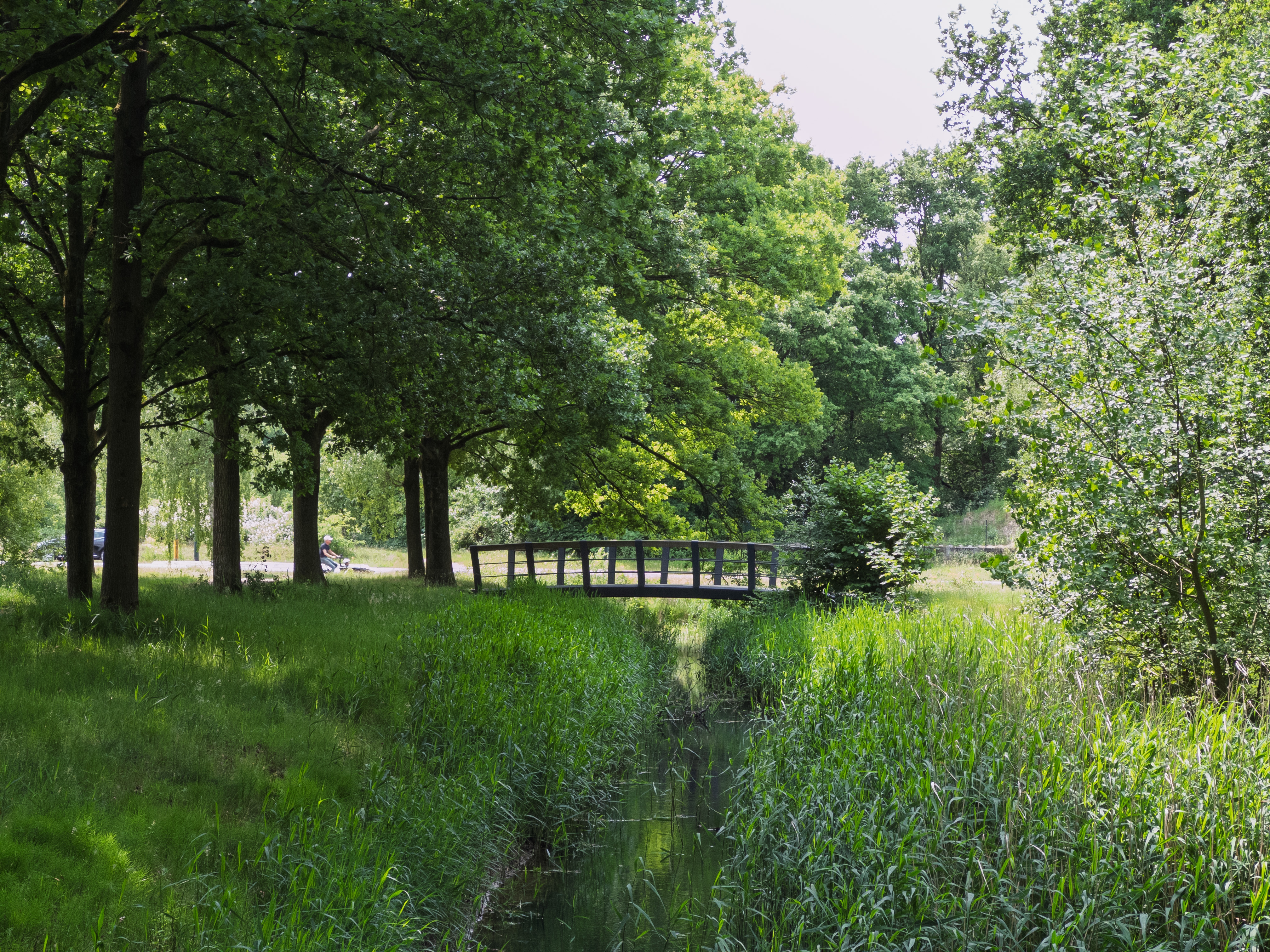 A wooden bridge over a lush green creek surrounded by trees in Huizen, Netherlands.
