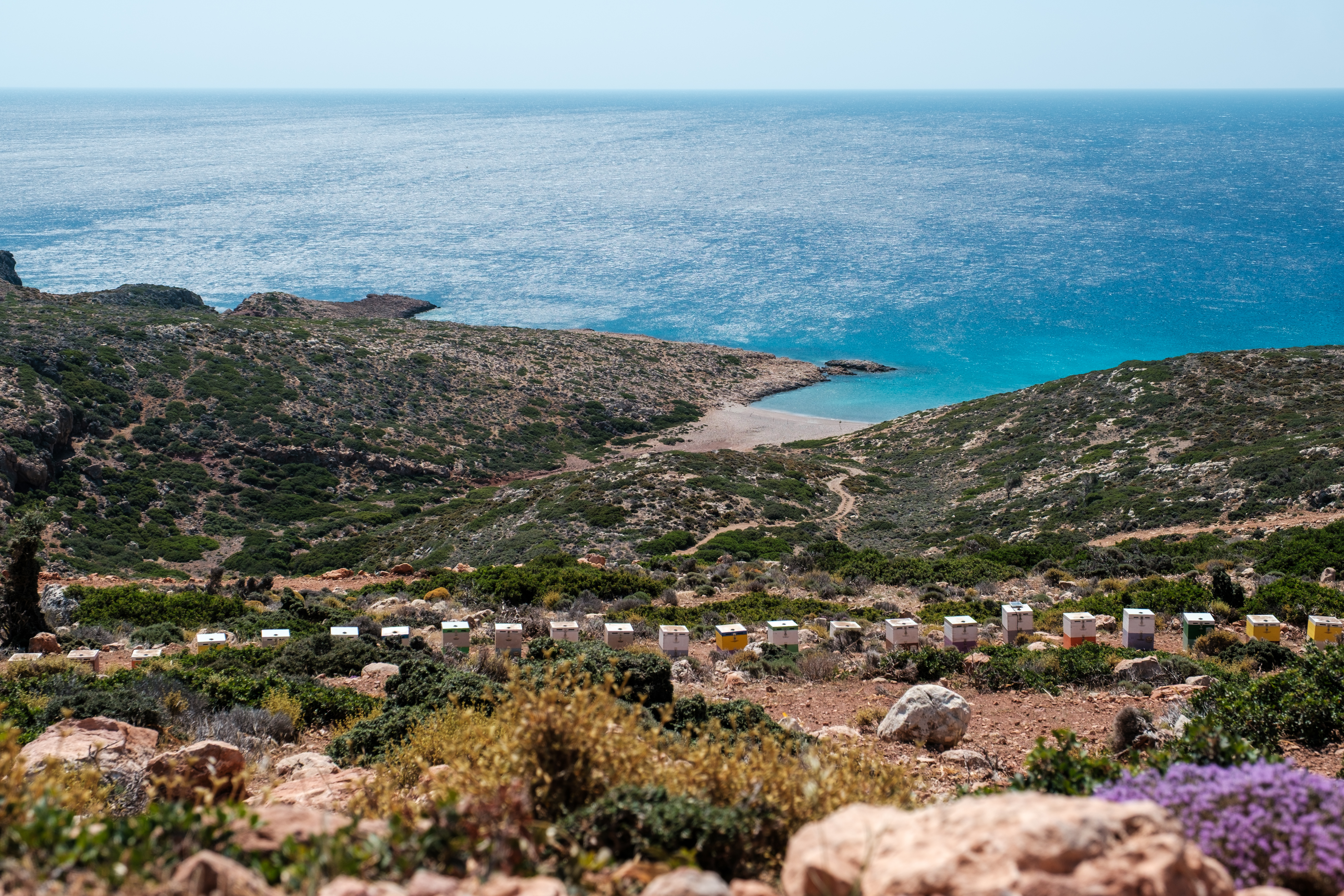 Beehives dot a rocky hillside overlooking the turquoise sea in Παλαίκαστρο, Crete.