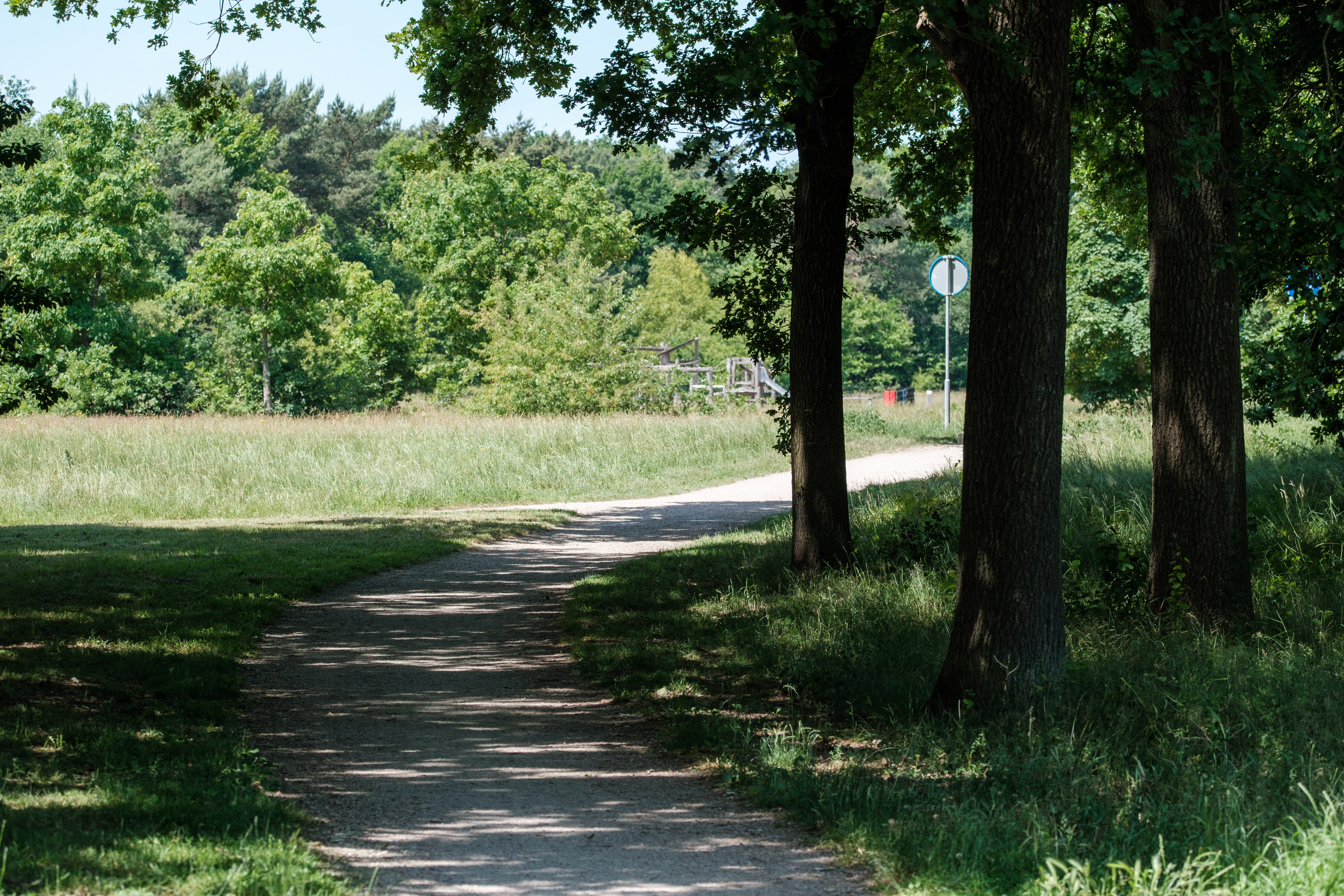 A sunlit path winds through a grassy park with tall trees in Huizen, Netherlands.