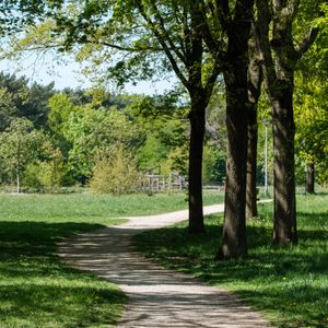A winding path through a green park with tall trees in Huizen, Netherlands.