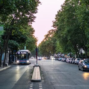 A tree-lined street in Paris with a bus and parked cars at sunset.