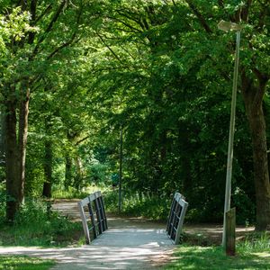 A wooden bridge and path surrounded by trees in Huizen, Netherlands.