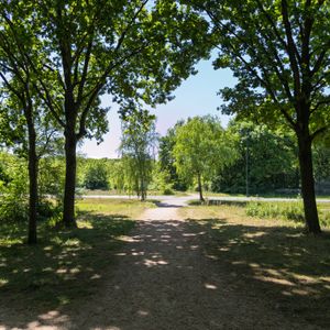 A sunlit path surrounded by trees in Huizen, Netherlands.