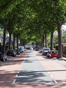 A tree-lined street with parked cars in Huizen, Netherlands.