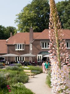 Tall pink flowers bloom in a garden path, with people dining outdoors at Drift, Laren, Netherlands.