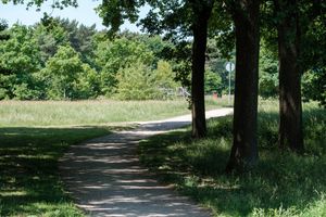 A sunlit path winds through a grassy park with tall trees in Huizen, Netherlands.